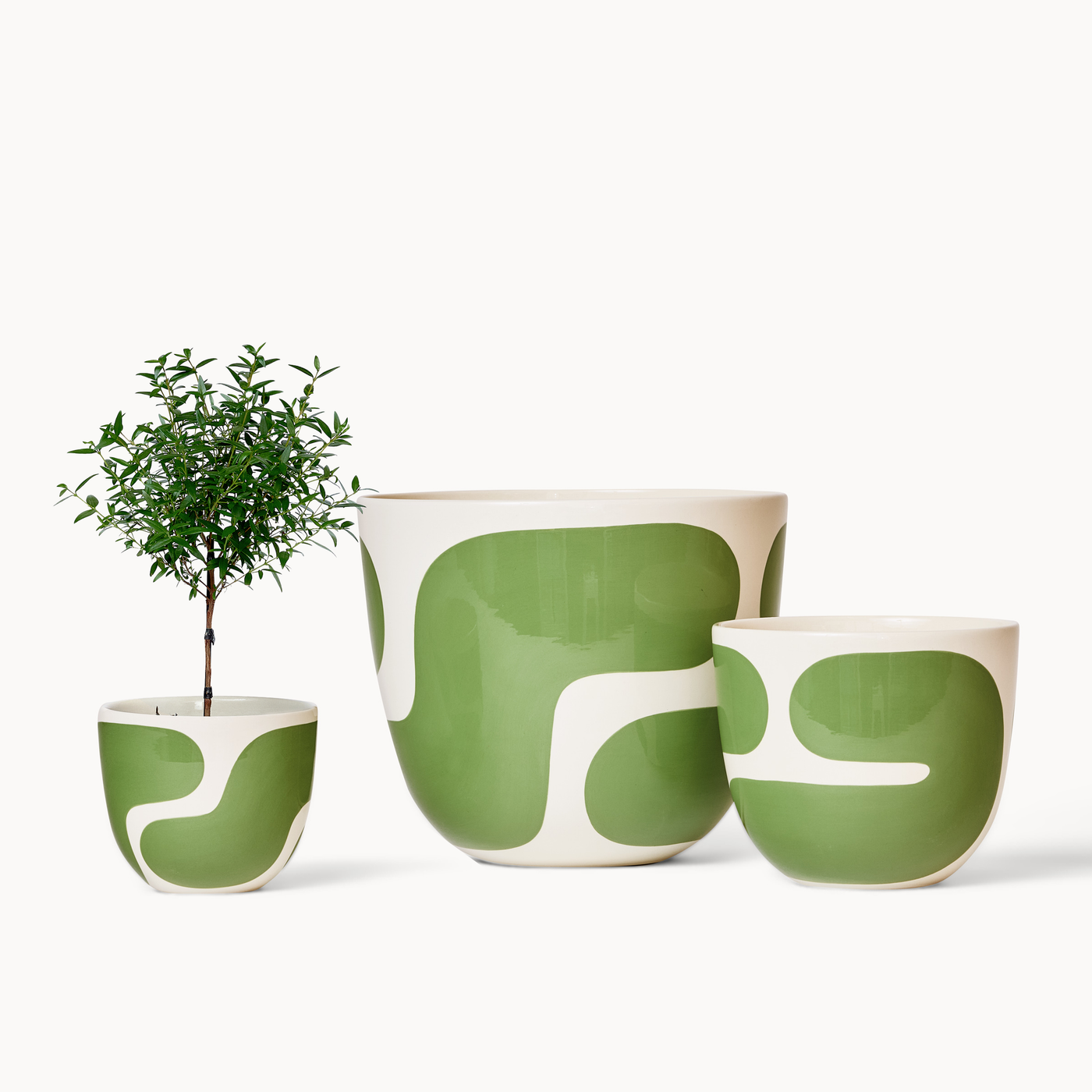 Meadow Color Block Planters (gloss): Medium + Saucer