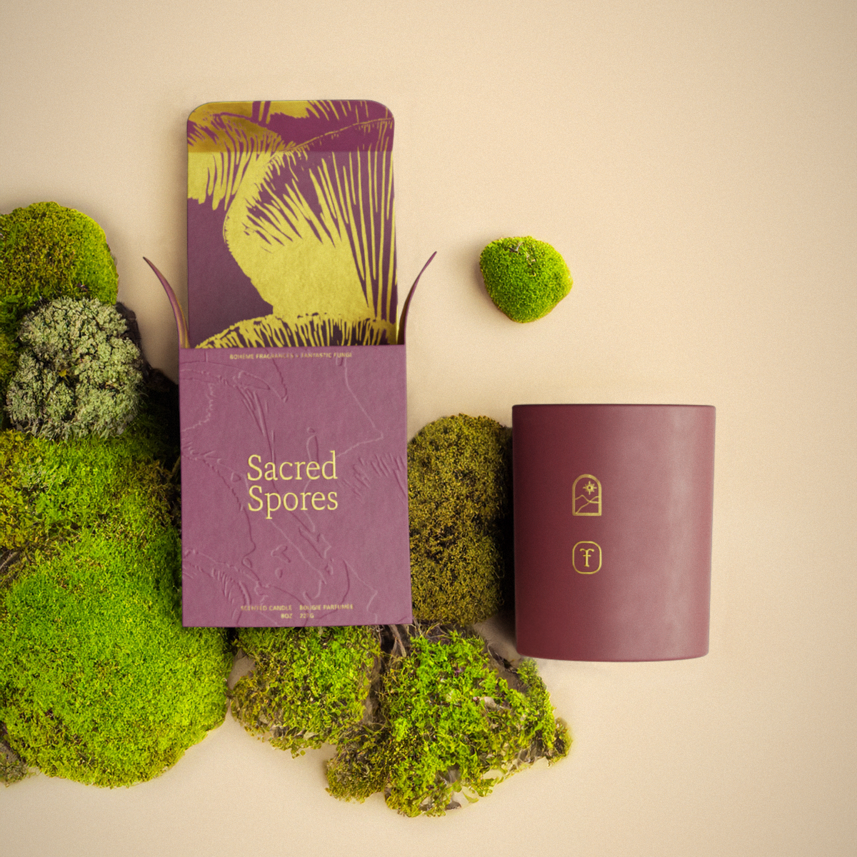 Sacred Spores - A Candle Collaboration with Fantastic Fungi