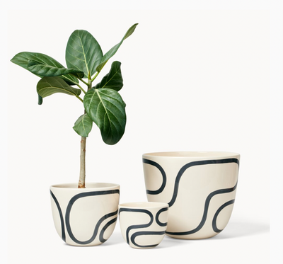 Outline Planter by Franca Brooklyn