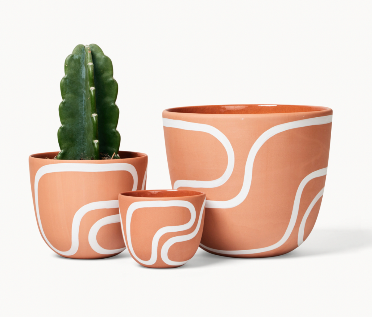 Terracotta Outline Planter by Franca Brooklyn