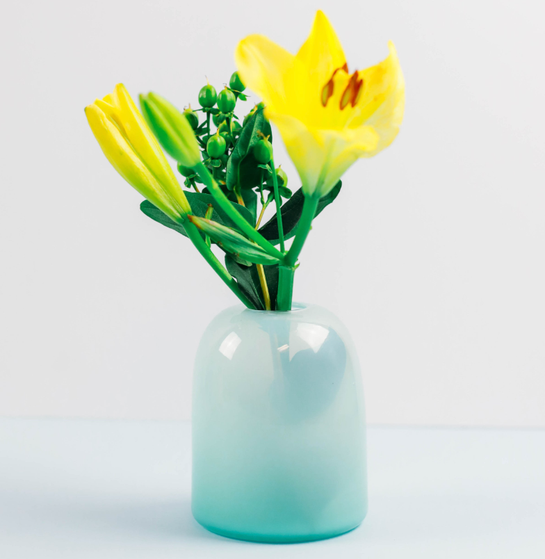 Gumdrop Vase by Forman Function