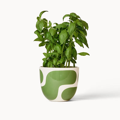 Meadow Color Block Planters (gloss): Large + Saucer