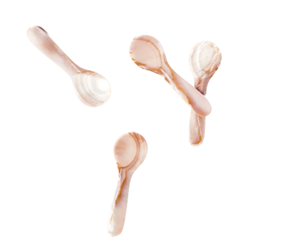 Mother of Pearl Spoons - set of 4